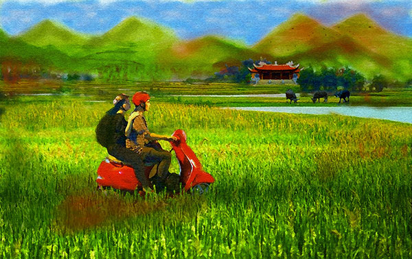 Hồi hương…