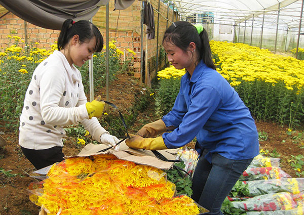 Vùng "đất lửa" ngày ấy, bây giờ