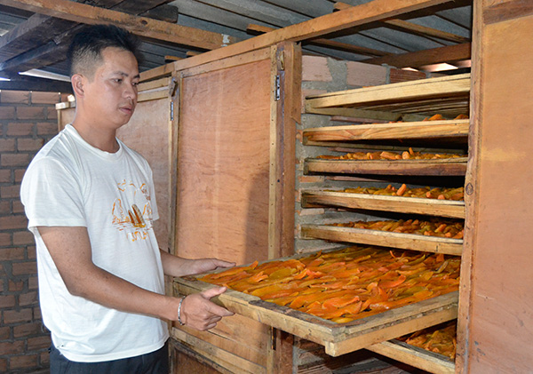 Khoai lang mật Đà Lạt: Từ nông trại tới bàn ăn