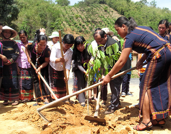 Bà con M'Nông đồng lòng xây dựng khu dân cư kiểu mẫu "5 không, 3 sạch"