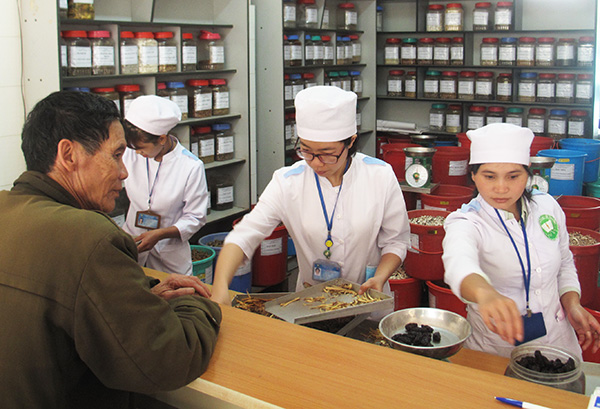 Cung ứng dược liệu cho các bệnh viện, người trồng khó "chen chân"