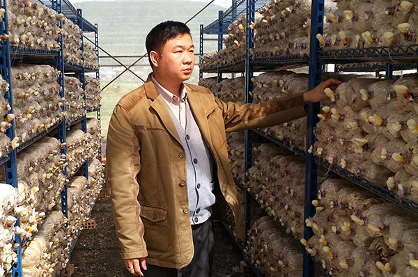 Khoa học và công nghệ phục vụ phát triển kinh tế - xã hội