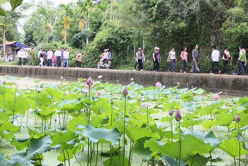 Hương sen tháng Năm…