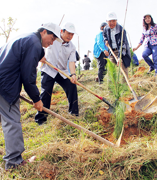 Đà Lạt trồng cây phân tán
