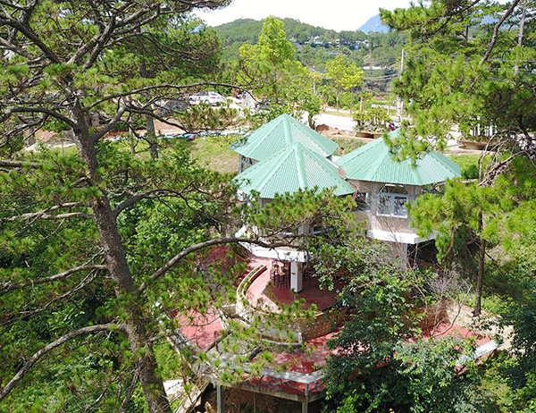 Nhà nấm