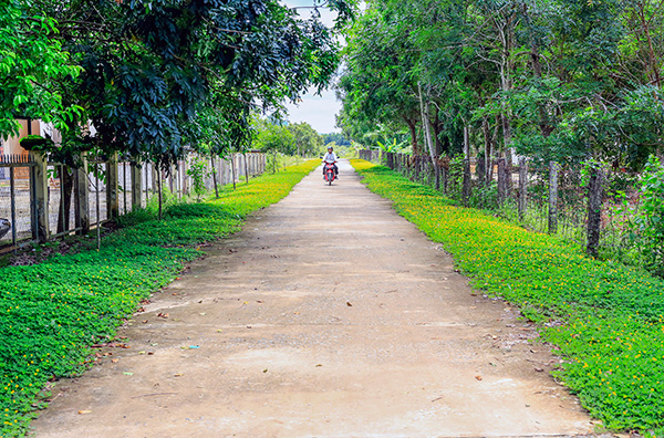 Một trong những con đường hoa được Hội Phụ nữ xã phối hợp xây dựng. Ảnh: T.Trang