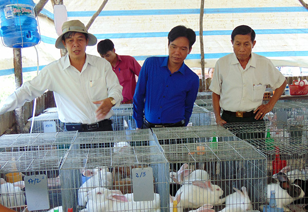 Sâu sát với cơ sở