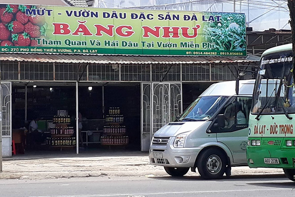 Cửa hàng mứt – vườn dâu đặc sản Đà Lạt Băng Như