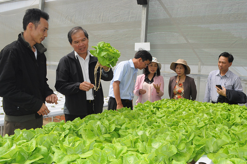 Bí thư Tỉnh ủy cùng đoàn công tác tham quan mô hình sản xuất nông nghiệp công nghệ cao phục vụ du lịch tại Khu du lịch trang trại Rau & Hoa
