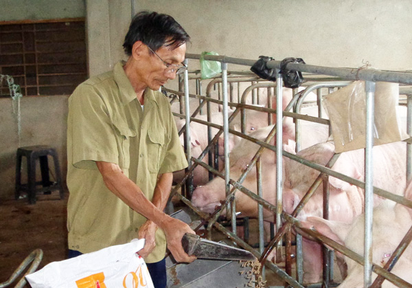 Khi người lính về với đời thường