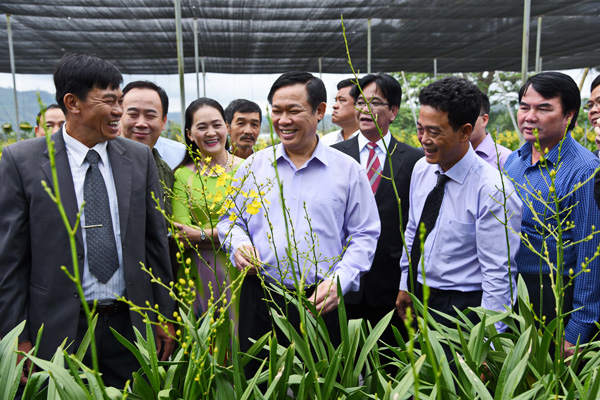 Thăm mô hình tại Công ty TNHH Hoa Mặt Trời