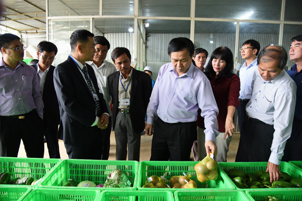 Thăm mô hình tại HTX nông nghiệp Tiến Huy