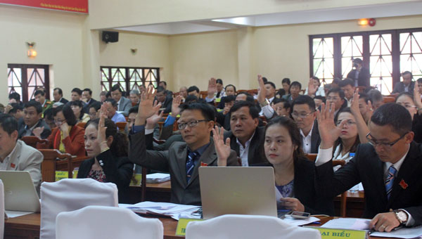 Các đại biểu biểu quyết thông qua nghị quyết