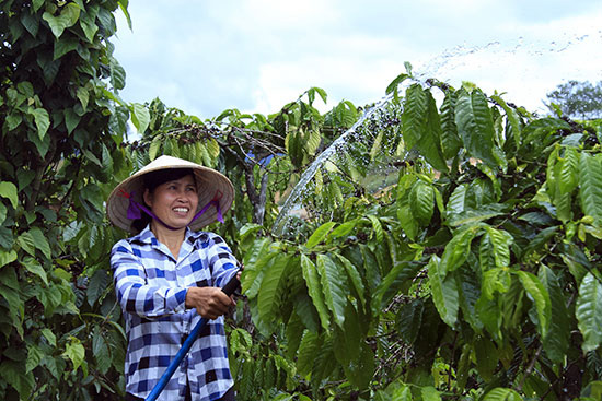 Đảng viên đi trước, làng nước theo sau