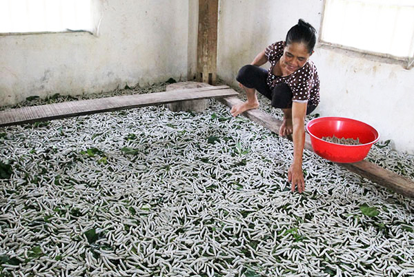Nỗ lực trong công tác xây dựng Đảng