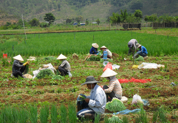 CLB "Phụ nữ chuyển giao khoa học kỹ thuật": Mô hình nhỏ, hiệu quả lớn