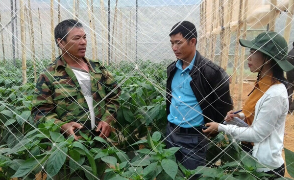 Làm kinh tế giỏi, sẻ chia với cộng đồng