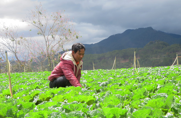 Đạ Nhim, đi lên từ một xã nghèo