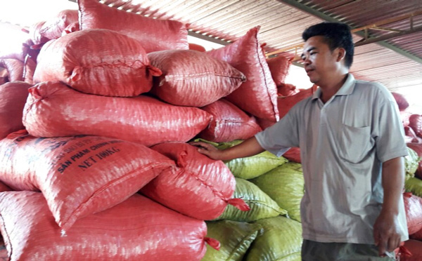 Anh Hưng làm giàu từ hạt điều