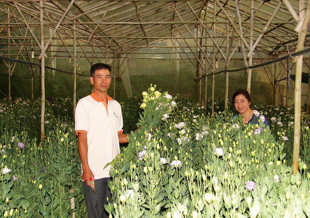Giải pháp giúp nông dân phòng chống, xử lý dịch bệnh trên cây trồng