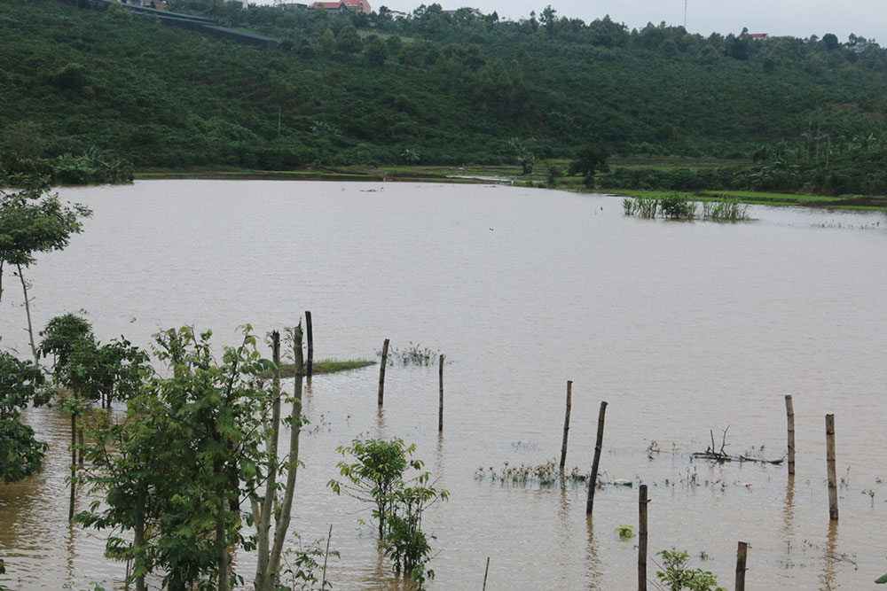 Trăn trở của bà con Ðồng Ðò