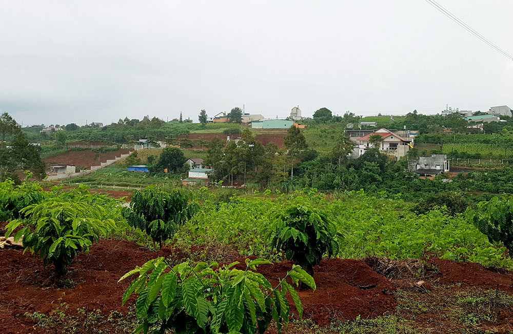 Khốn khổ vì quy hoạch "treo"