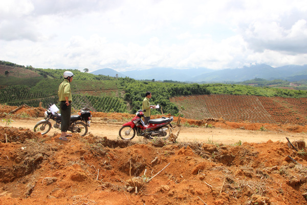 Đam Rông: Tiến hành trồng trên 22 ha rừng 30a