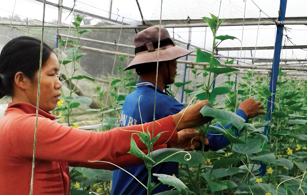 Chuyện cũ và mới ở Ninh Loan