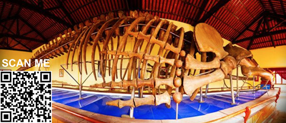 Học &quot;hiện đại&quot; hay học &quot;truyền thống&quot;
