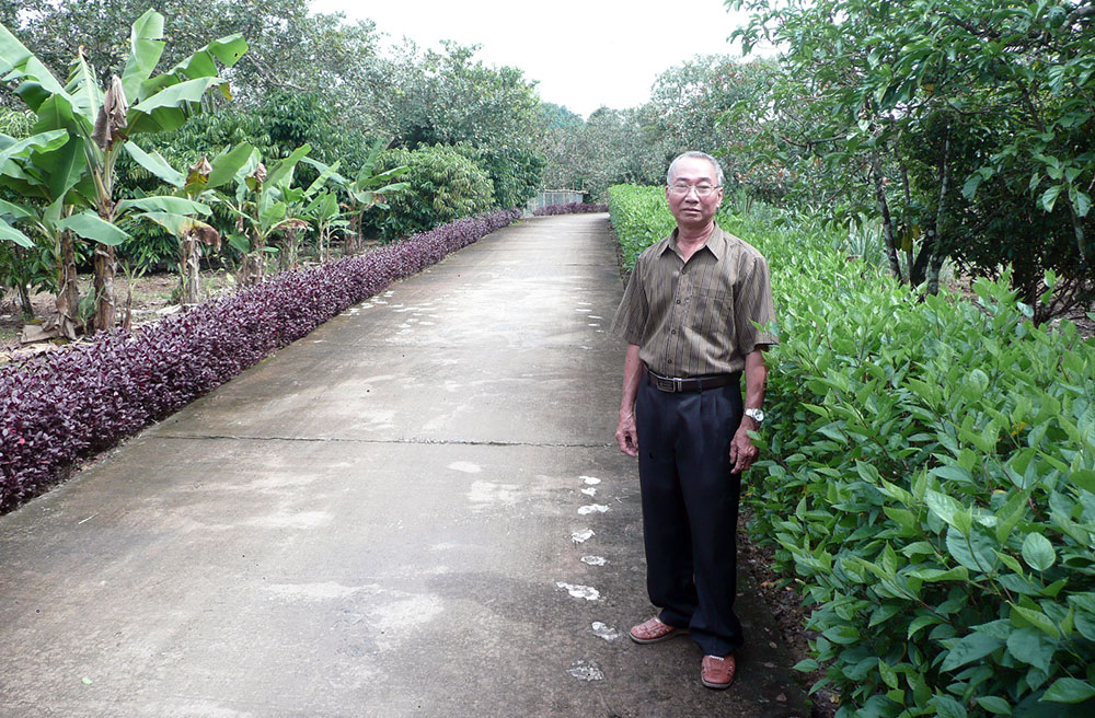 Ðể đường làng Hương Lâm thêm xanh
