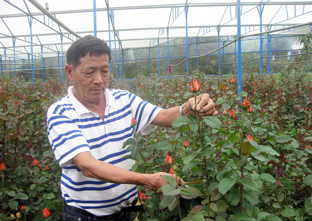 "Tình yêu làm đất lạ hóa quê hương"