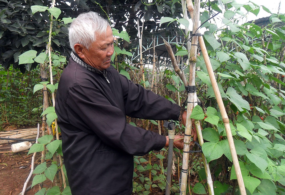 Tuổi cao vẫn không ngừng cống hiến