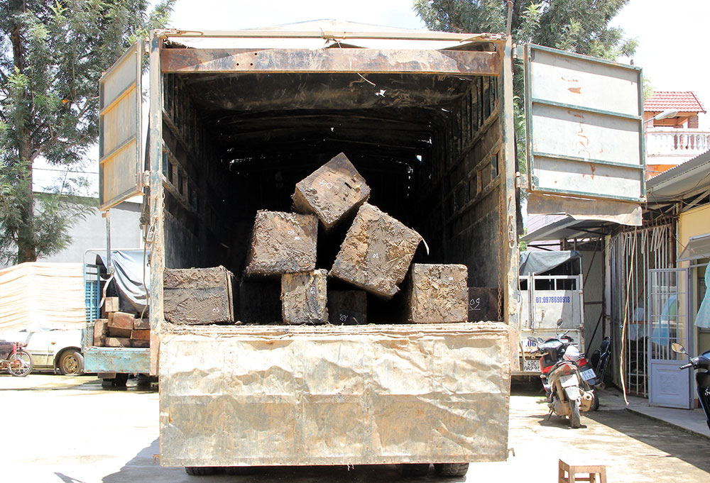 Bắt quả tang xe chở hơn 6 m3 gỗ không rõ nguồn gốc