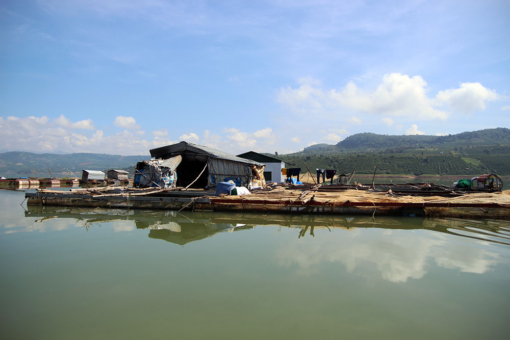 Mưu sinh nơi lòng hồ