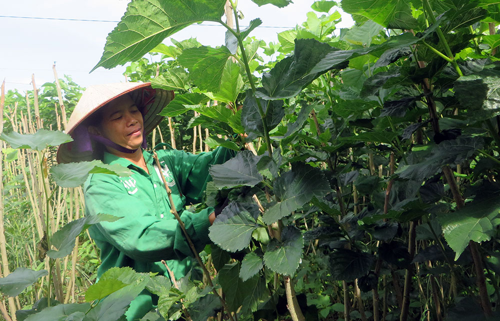 Về buôn làng hôm nay