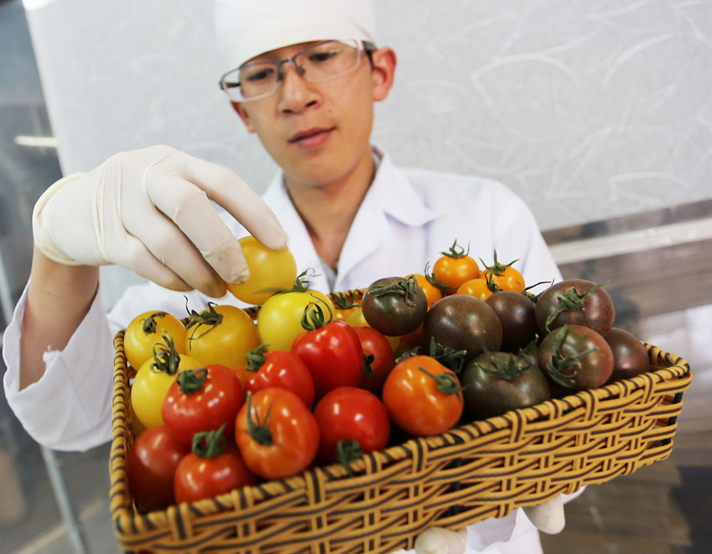 Khi nông sản thành quà lưu niệm