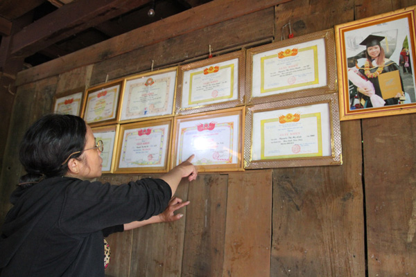 Những cánh chim không mỏi
