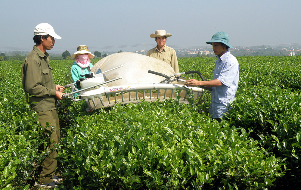 Đẩy nhanh lập bản đồ địa chính của các công ty lâm nghiệp