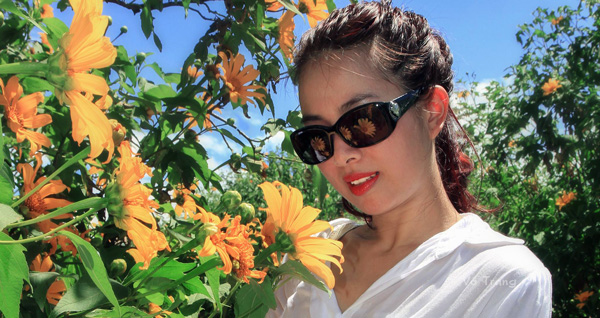 Dã quỳ đầu mùa
