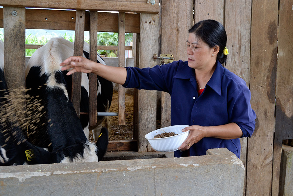 Phong trào "5 không, 3 sạch" và Ðơn Dương xanh