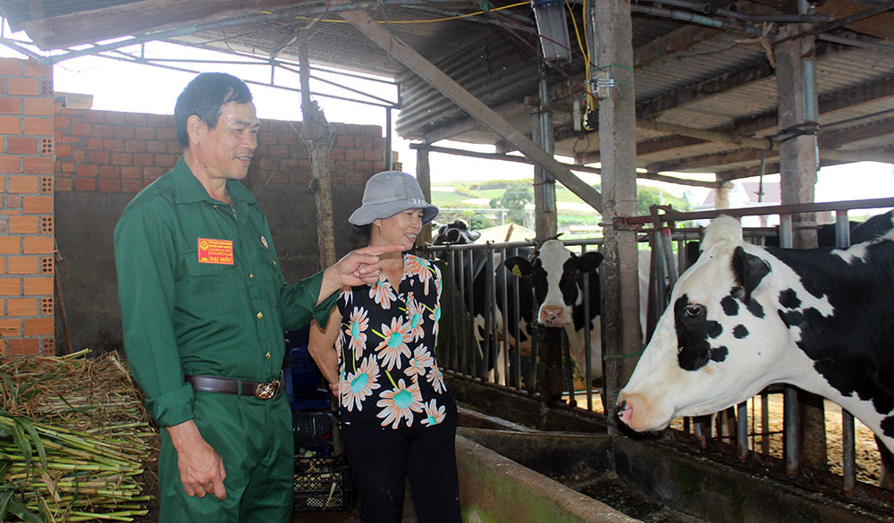 Cựu chiến binh giúp nhau nâng cao chất lượng đời sống