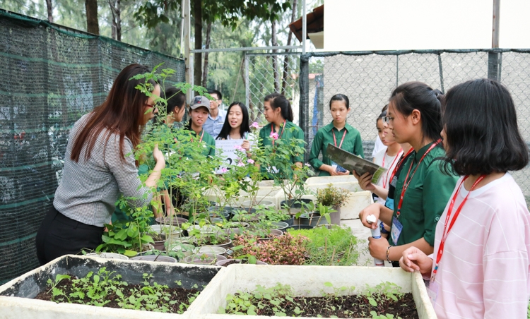 Hướng nghiệp cho học sinh từ trường phổ thông