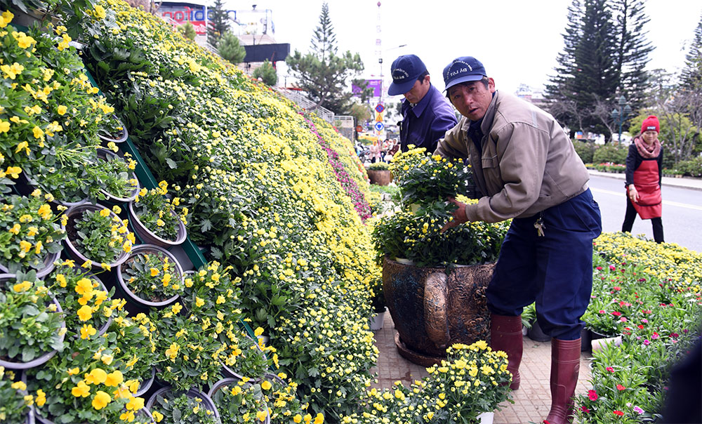 Ðể đất lành có những kết tinh trọn vẹn…