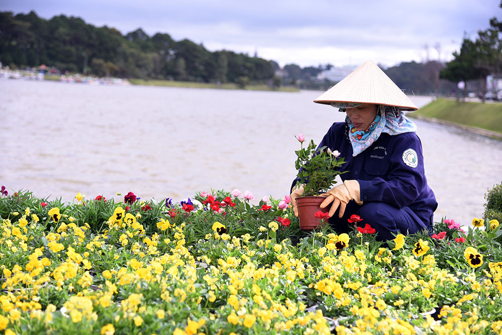 Công nhân Công ty CP Dịch vụ Đô thị Đà Lạt gấp rút hoàn tất việc sắp đặt hoa cho các tiểu cảnh hoa tươi nghệ thuật