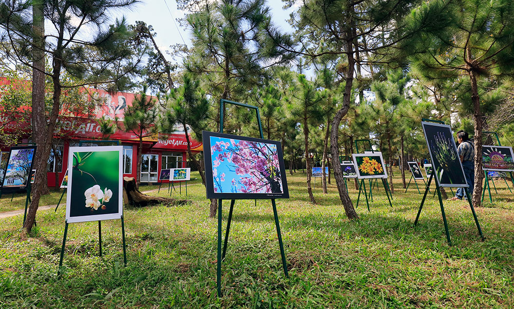 Một góc không gian nghệ thuật 