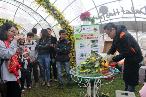 Trình diễn cắm hoa nghệ thuật tại gian hàng Dalat Hasfarm