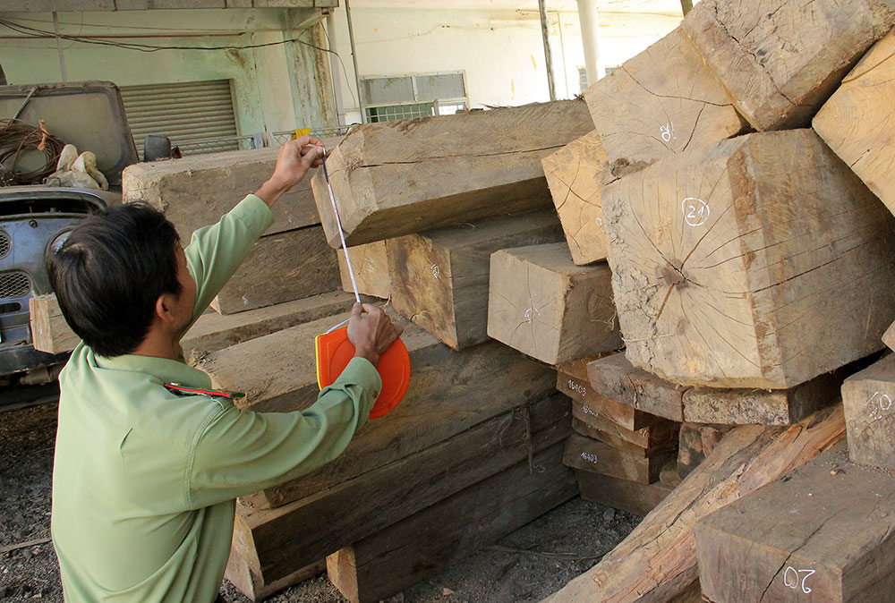 Di Linh một năm quản lý, bảo vệ rừng