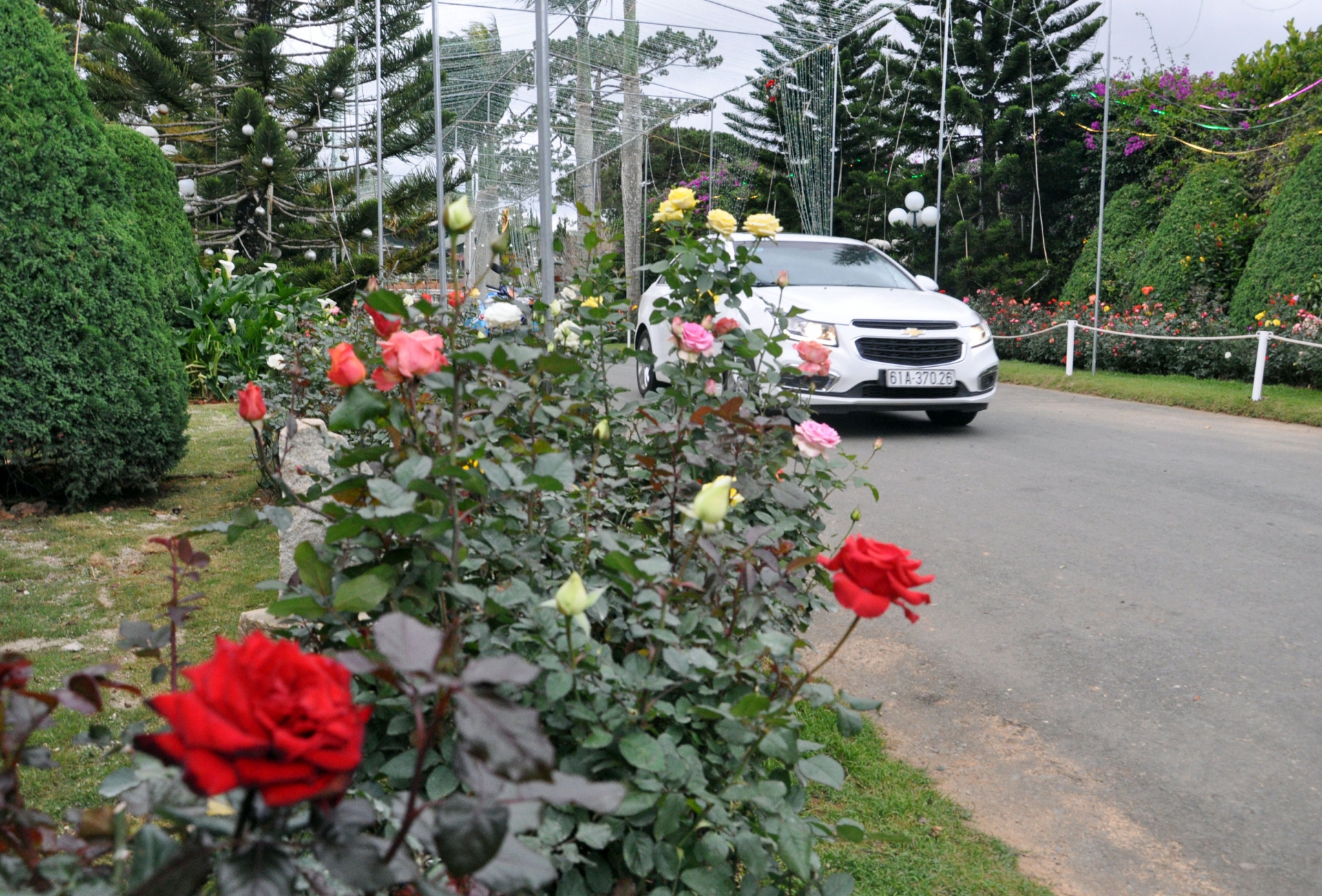 “Công viên hoa” Đống Đa, trên đường Đống Đa, thuộc Tổ 17, Phường 3, Đà Lạt, giải nhất nhóm khu dân cư