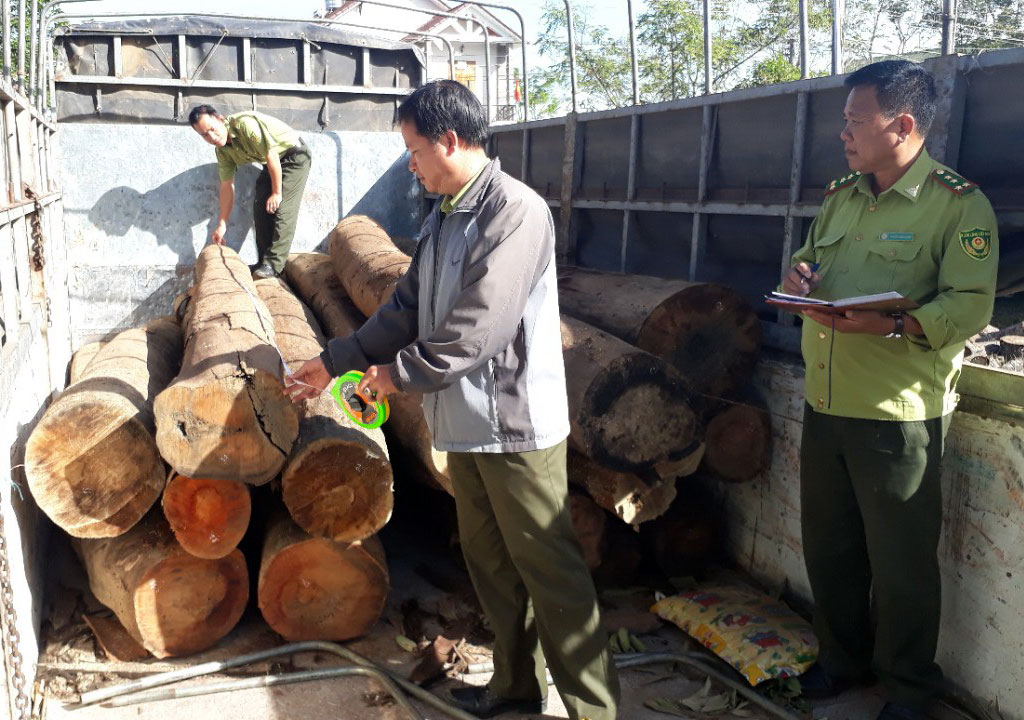 Mật phục truy bắt nhóm vận chuyển gỗ trái phép