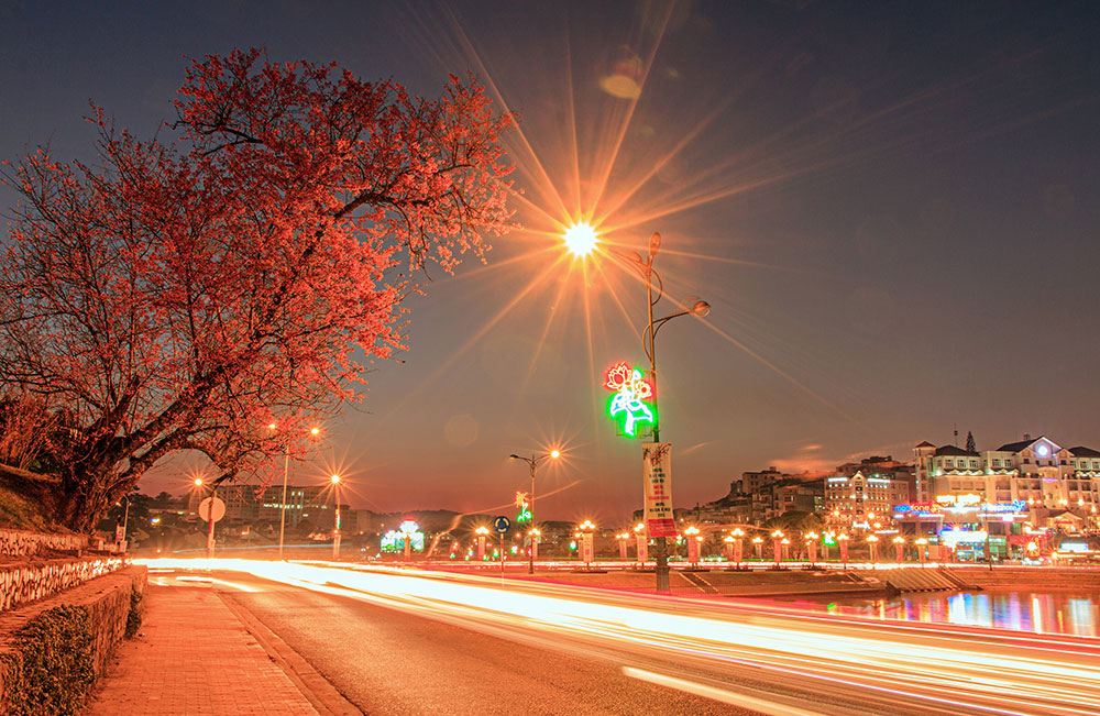 Lời hẹn hoa đào...